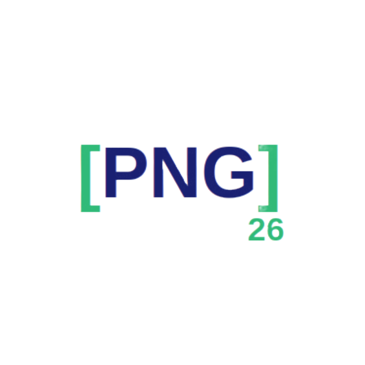 Polymer Network Group 2026