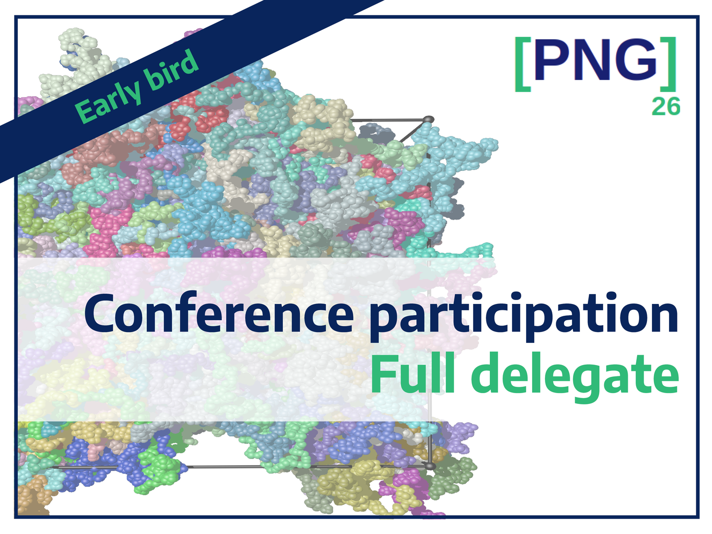 PNG26 - Early Bird - Conference participation - Full delegate ticket