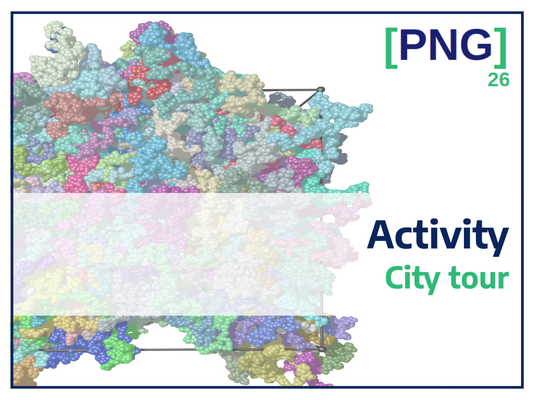 PNG26 - Activity: City tour